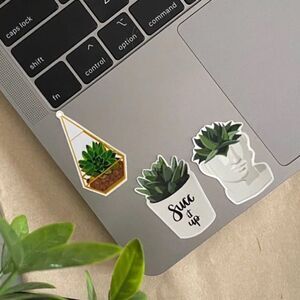 PACK of 3 Vinyl Glossy Stickers | Succulent stickers | 3 pack